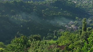 جنگل سی سرا