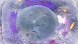 انیمیشن ژنتیک آموزشی + تهیه پکیج ژنتیک تضمینی!!!09044686613