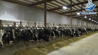 ضدعفونی کننده های صنعت دامپروری