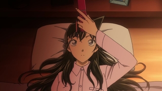 انیمه کاراگاه کونان(Detective Conan)قسمت864با زیرنویس فارسی