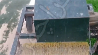 دستگاه برس چمن مصنوعی