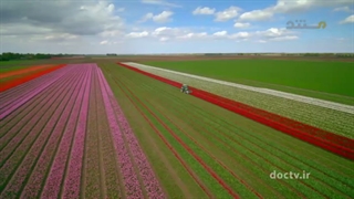 مستند ( اروپا ) هلند از بالا