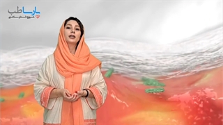 پانسمان سوربالگون هارتمن