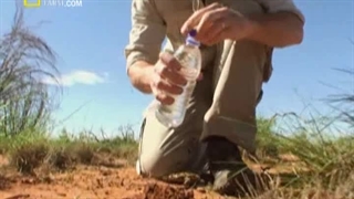 مستند ( تجربه های دکتر مایک: صحرای استرالیا ) + دوبله فارسی