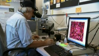 مستند علمی ( دایناسورهای عجیب ) + دوبله فارسی