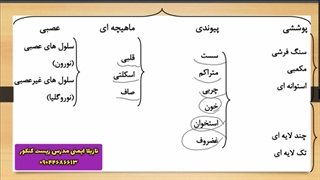 بافت های بدن انسان + تدریس خصوصی زیست: 09044686613