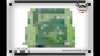 7 راه شناخت دیسک صفحه والئو سبز اصلی