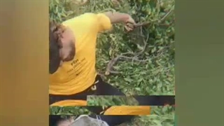 ارمیس دیالوگ ماندگار