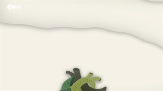 پا به پای طبیعت