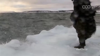 مستند ( تنها قطب شمال ) قسمت 22 + دوبله فارسی