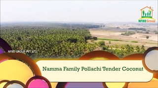 Namma Family Pollachi Tender Coconut 