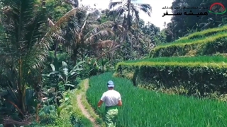 آشنایی با جاذبه های زیبای جزیره بالی