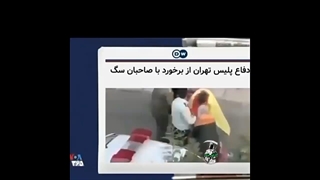 کشتار بی‌رحمانه سگ ها در آمریکا