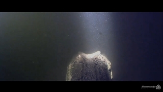 اتفاقا فتنه های آخر زمان خیلی هم خوبه.... تازه می فهمی کجا وایسادی...