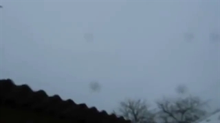 Лучшая порода голубей по уходу от Хищника / Ястреба (Сокола). Мое мнение 24.12.21