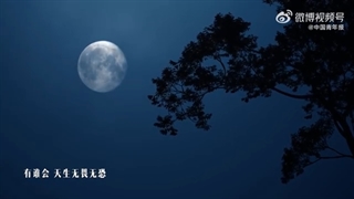 موزیک ویدیوی اهنگ Hot Dream وانگ ییبو