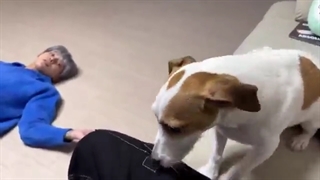 남편이 술에 취했어요