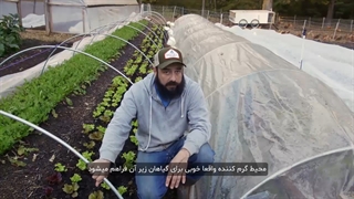 کاربرد پلاستیک تونلی در صنعت کشاورزی