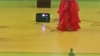 اجرای موزیکال هیجانی و جذاب و دیدنی خاله رزیتا زیباترین دختر ایران و جهان برترین مجری کودک