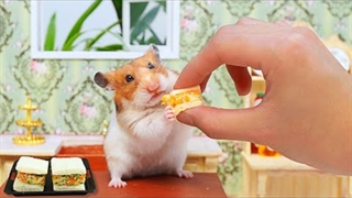 آشپزی مینیاتوری : ساندویچ - موج کره ای