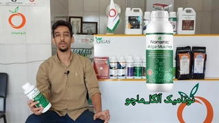 نونامیک آلگا ماچو کودی با ترکیبات نو و جدید