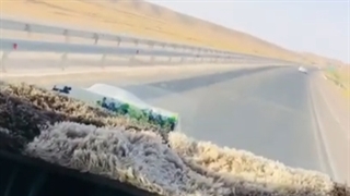 رانندگی پرخطر راننده تریلی