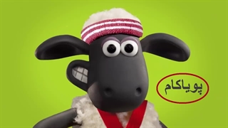 المپیک گوسفندی - 3