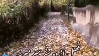 دانلود اهنگ فصل پاییزی من از سیاوش قمیشی