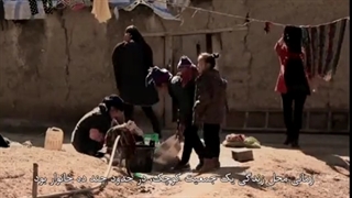 دگرگونی روی یک صخره