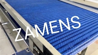 خط شستشو میوه و سبزیجات| زامنس