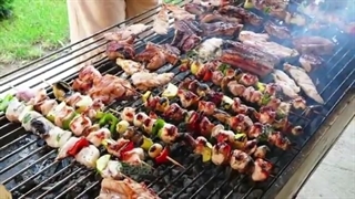 دنبلان چیست و فواید و مضرات دنبلان!