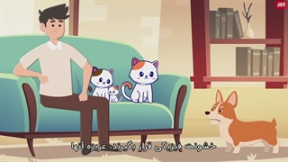 آیا گربه ها مراقب صاحب خود هستند؟