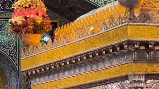 ضریح با صفای حضرت امام رضا علیه السلام