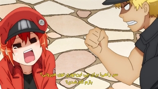 انیمه سلول ها درحال کار - Hataraku Saibou! - فصل 2 - قسمت 1 - زیرنویس چسبیده - انیمه شو