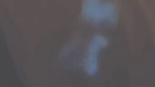 دستگیری یکی از اغتشاشگران