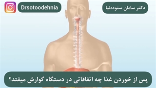 عملکرد دستگاه گوارش