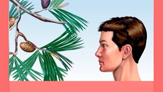 تاحالا این سوال برای شماهم پیش آومده که آیا داشتن آلرژی میتونه باعث بروز آسم بشه ؟