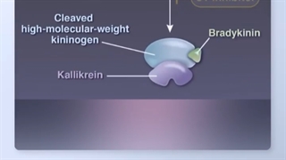 آنژیوادم ارثی
