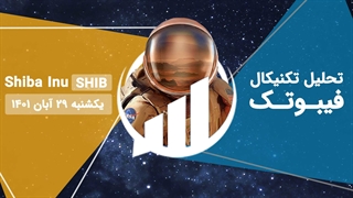تحلیل ویدئویی Shiba Inu (SHIB)، یکشنبه 29 آبان 1401