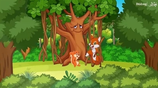 سنجاب کوچولو