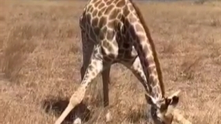 وقتی میریم مهمونی ادای با کلاس ها رو در میاریم 