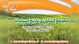 روغن ولک چیست و چه کاربردهایی دارد؟