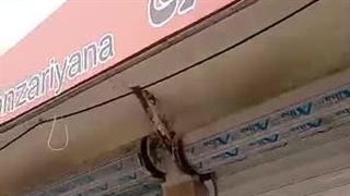 تولید و فروش تزئینات برنزی آریانا برنزی