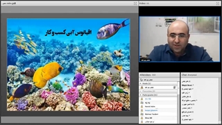 -وبینار کسب و کارهای سلامت محور_0_0