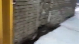 کارواش اسپرت