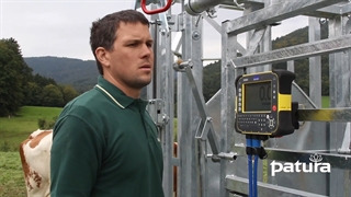 قفس مهار گاو و گوساله