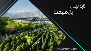 تایملپس خارقالعاده از پل طبیعت در روز و شب