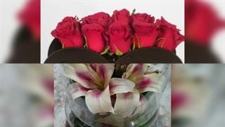 باکس ودسته گل لاکچری