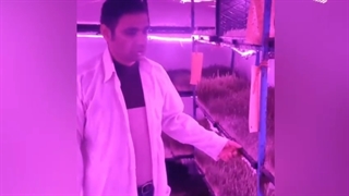 کشت علوفه هیدروپونیک در خراسان شمالی