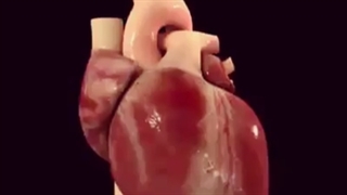 انیمیشن قلب کوتاه و جذاب!!!!!